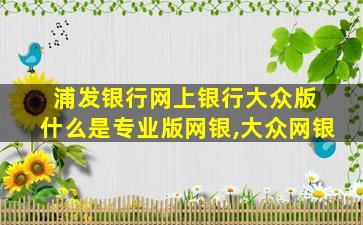 浦发银行网上银行大众版 什么是专业版网银,大众网银